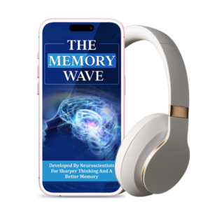 Memory Wave Brain & Mind / Digital Audio